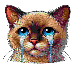 [LINEスタンプ] しょんぼり猫のごめんにゃスタンプ