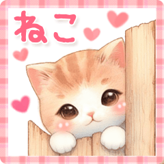 [LINEスタンプ] 猫がいっぱい♡敬語＆挨拶