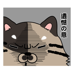 [LINEスタンプ] ネコズノスタンプ