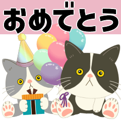 [LINEスタンプ] 【動く】ハチワレコンビ♡お祝いするのん