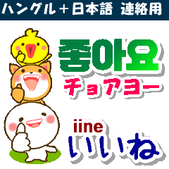 [LINEスタンプ] 韓国語＋日本語 連絡用 大きな文字 発音付