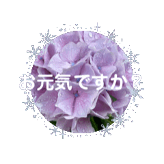 [LINEスタンプ] 翡翠花壇