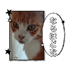 [LINEスタンプ] 幸せ運ぶふくふくスタンプ2の画像（メイン）