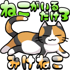 [LINEスタンプ] ねこがいるだけのスタンプ3 三毛猫