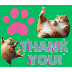 [LINEスタンプ] ありがとうThank you 猫 32セット