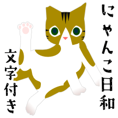 [LINEスタンプ] にゃんこ日和 文字あり