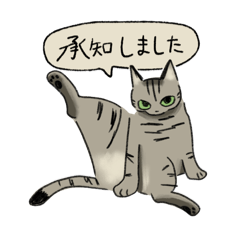 [LINEスタンプ] 律儀なキジトラ猫（文字あり）