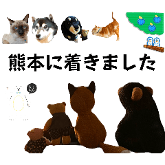 [LINEスタンプ] くまたちの日常 その5 熊本verの画像（メイン）