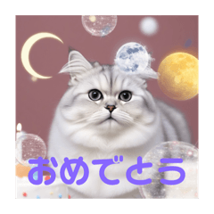 [LINEスタンプ] きなこくんの毎日不可欠スタンプ