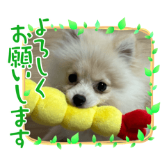 [LINEスタンプ] かわいいらて