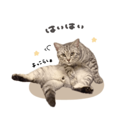 [LINEスタンプ] あしゅくん☆スタンダード