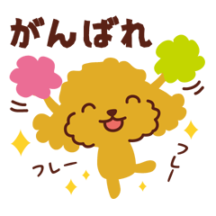 [LINEスタンプ] トイプードル_ 応援スタンプ