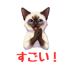 [LINEスタンプ] シャム猫 猫の日 日常編