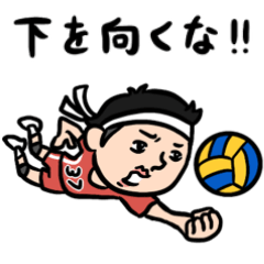 [LINEスタンプ] バレーボール男子 毎日バレー