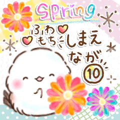 [LINEスタンプ] ふわもちシマエナガ⑩❤️春❤️基本セット