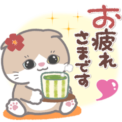 [LINEスタンプ] ズッ友にゃんこ4❤日常・感謝