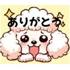 [LINEスタンプ] ふわふわトイプー♡