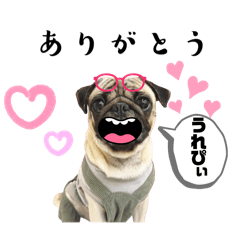 [LINEスタンプ] 可愛いパグ.7