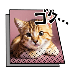 [LINEスタンプ] 可愛い猫ちゃんのスタンプです。