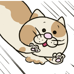 [LINEスタンプ] ねこの日常観察スタンプ