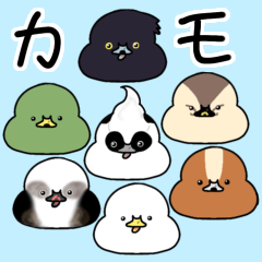 [LINEスタンプ] カモ図鑑