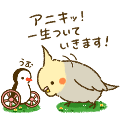 [LINEスタンプ] 大袈裟なオカメインコ