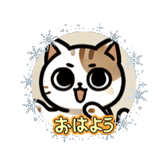 [LINEスタンプ] 不貞腐れ猫になるまえ編