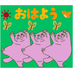 [LINEスタンプ] 「挨拶オンリー」この猫三つ子につき