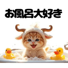 [LINEスタンプ] Cute Cats かわいい猫たち【ゆかいな猫】