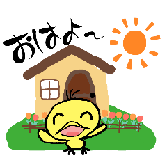 [LINEスタンプ] ピ〜ちゃんの日常メッセージ