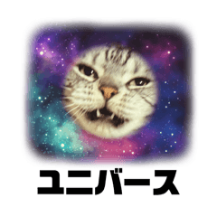 [LINEスタンプ] ごぎげんサンバ