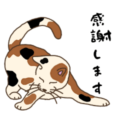 [LINEスタンプ] ぶち猫ニャンニャン