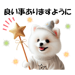 [LINEスタンプ] かわいいポメラニアンの犬スタンプ
