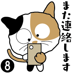 [LINEスタンプ] 三毛猫「わび助」猫のシンプルスタンプ