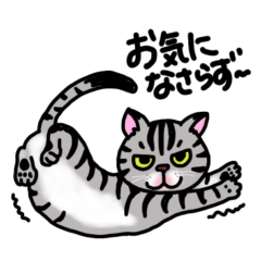 [LINEスタンプ] アメショベーちゃんの日常2