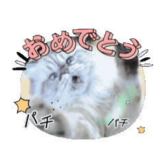 [LINEスタンプ] 動くシャリスタンプ