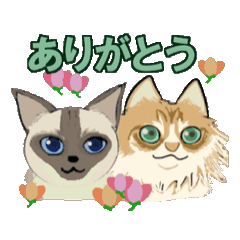 [LINEスタンプ] にゃんず動くよ。その1