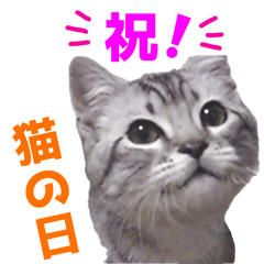 [LINEスタンプ] 猫の日なのでやりたい放題 あざと編