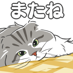 [LINEスタンプ] ねこちゃんぷるー 1皿目