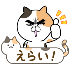 [LINEスタンプ] 目ヂカラ☆にゃんこ24【猫ふきだし】