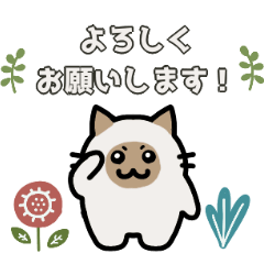 [LINEスタンプ] まるネコの日常使いスタンプ