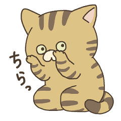 [LINEスタンプ] 表情豊かなチャトラくん