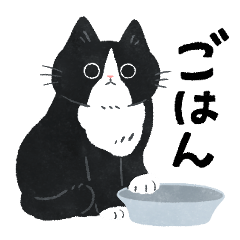 [LINEスタンプ] 毎日ねこズ