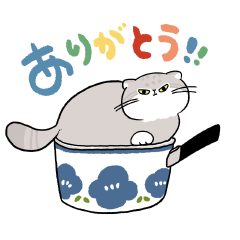 [LINEスタンプ] うごく！マヌルネコだらけ