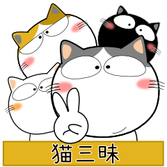 [LINEスタンプ] 猫三昧★トラブル対応用スタンプ