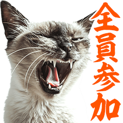 [LINEスタンプ] 価値観が古すぎる猫