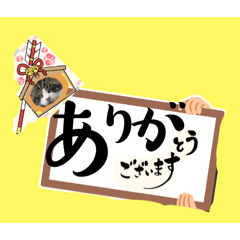 [LINEスタンプ] ニャアのあいさつ状しりとりp3