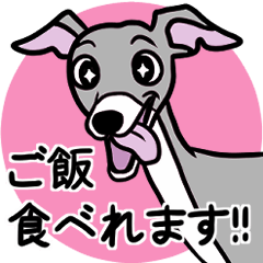 [LINEスタンプ] シニアなイタグレ達の日常スタンプ