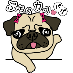 [LINEスタンプ] ぶちゃ可愛パグ