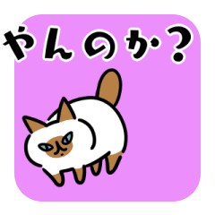 [LINEスタンプ] シンプルに動くネコたち③